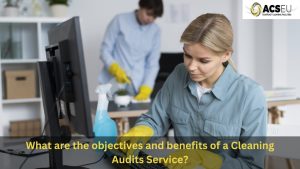 Cleaning Audits Service