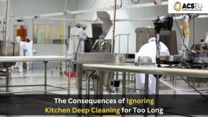 Ignoring Kitchen Deep Cleaning